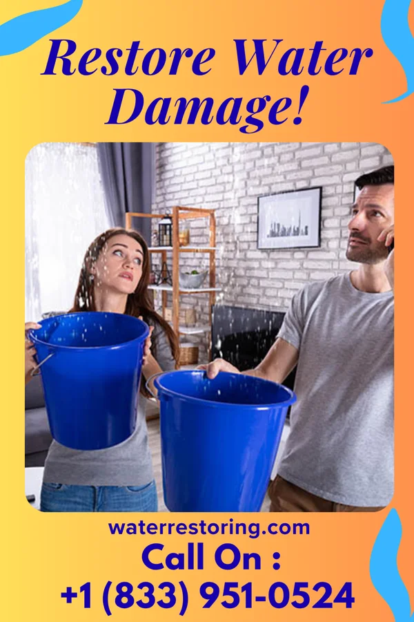 water restoration Expert Water Removal Team Mississippi Valley State University