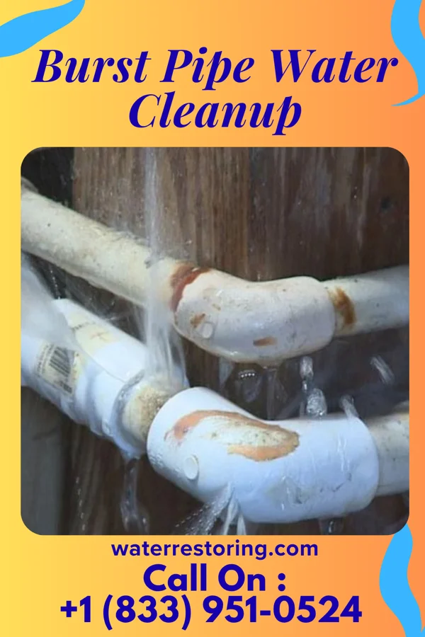 Burst Pipe Water Cleanup in Mississippi Valley State University, MS