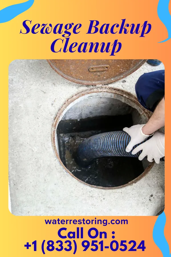 Sewage Backup Cleanup in Mississippi Valley State University, MS