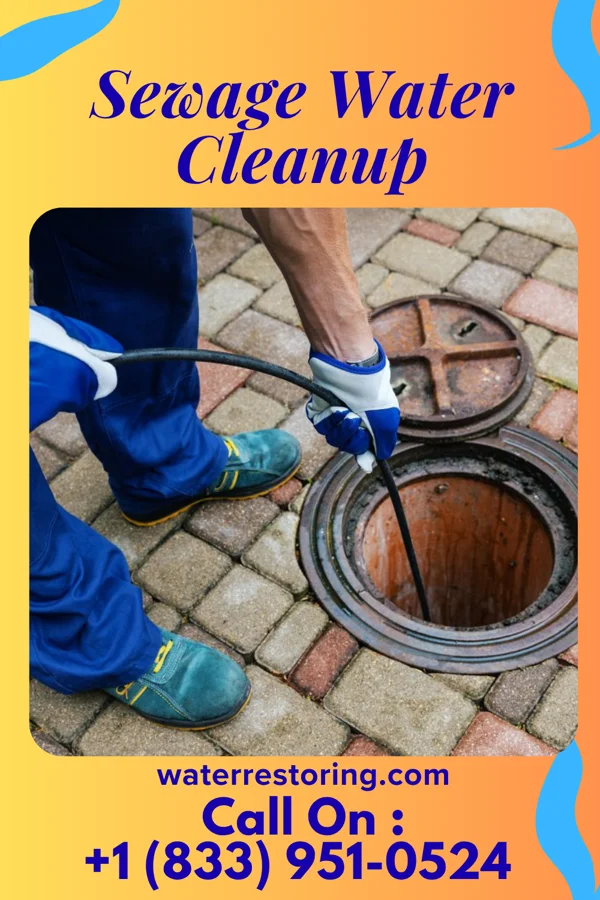 Sewage Water Cleanup in Mississippi Valley State University, MS
